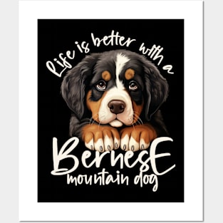 Bernese mountain dog Posters and Art